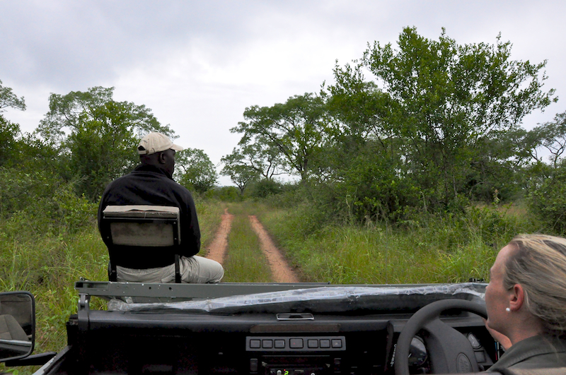 Melanie Heinrich - travel images - Lion Sands Private Game Reserve